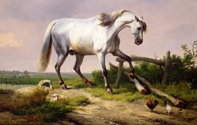 Un stallone grigio con pecore e pollame da Eugene Joseph Verboeckhoven