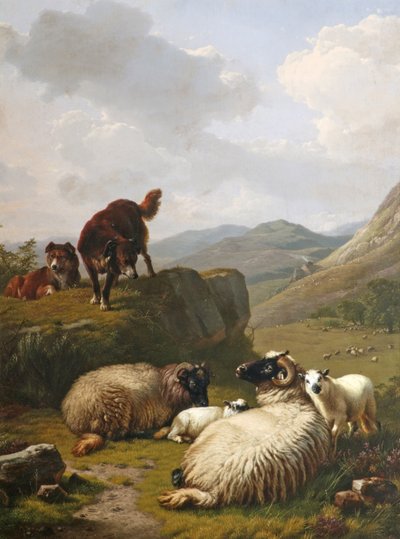 Pecore e cani da Eugene Joseph Verboeckhoven