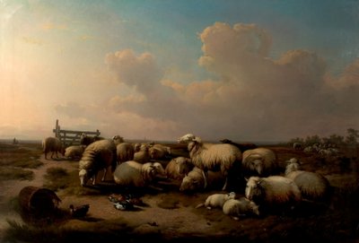 Le Pecore da Eugene Joseph Verboeckhoven