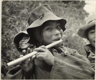 Peruvian Flute da Eugene V. Harris