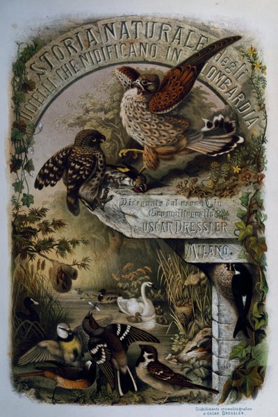 Pagina del titolo di Storia naturale degli uccelli che nidificano in Lombardia, di Eugenio Bettoni, incisione di Oscar Dressler da Eugenio Bettoni, Oscar Dressler