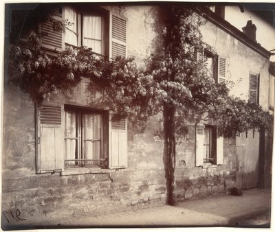 Glicine, Châtillon da Eugène Atget