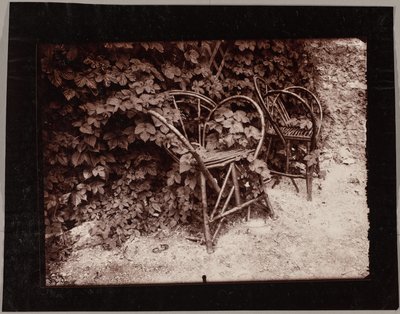 Luppolo da Eugène Atget