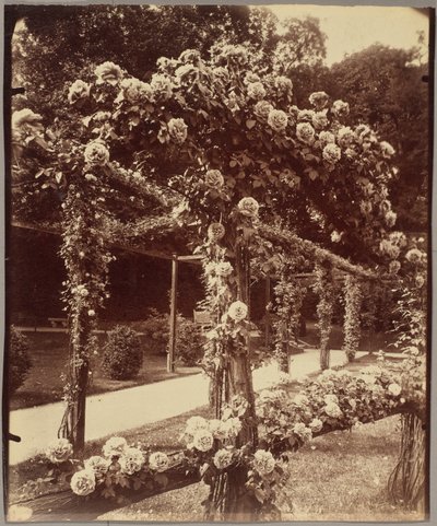 [Jardin de Bagatelle] da Eugène Atget