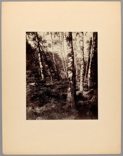 Parco di Saint-Cloud da Eugène Atget
