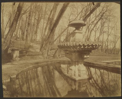 Parco di Saint Cloud (Parco di Saint Cloud) da Eugène Atget