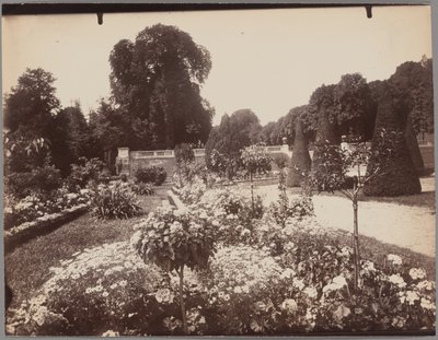 Saint-Cloud da Eugène Atget