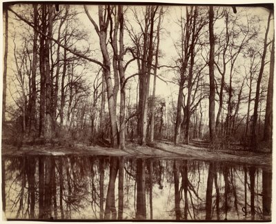 Saint-Cloud da Eugène Atget