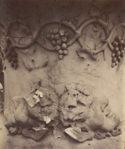 Versailles, Dettaglio del Vaso, 1906 da Eugène Atget