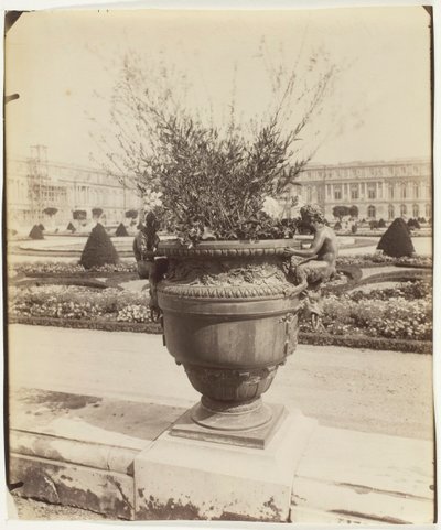Versailles, vaso di Ballin da Eugène Atget
