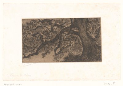 Rami di castagno da Eugène Bléry (signed by artist)