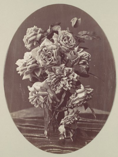 [Rose], ca. 1875 da Eugène Chauvigné