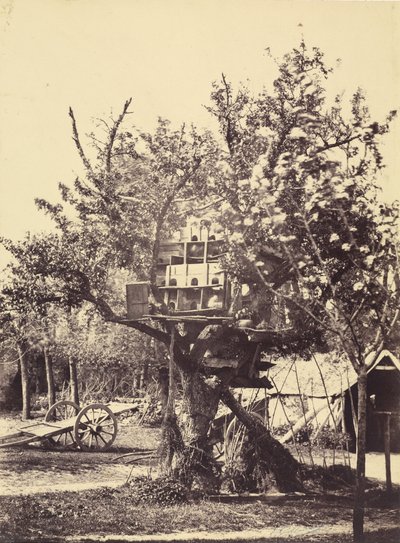 Casa dei piccioni sull