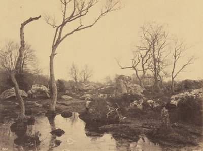 Belle Croix, c. 1858 da Eugène Cuvelier