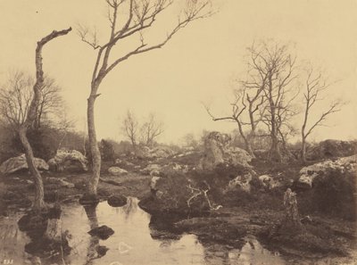 Belle Croix, 1858 circa (foto) da Eugène Cuvelier