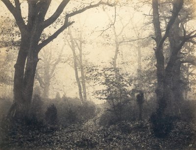 [Foresta di Fontainebleau] da Eugène Cuvelier