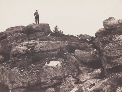 Gole di Franchard - Foresta di Fontainebleau da Eugène Cuvelier