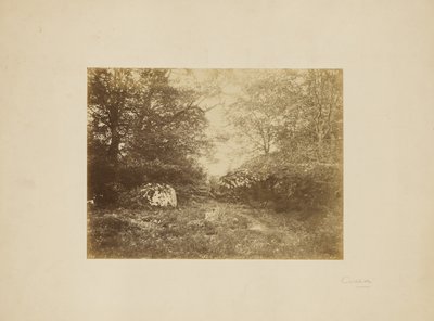 [Studio sul paesaggio] da Eugène Cuvelier