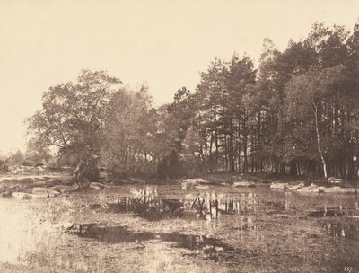 Palude a Piat (Pianoro di Belle-Croix) da Eugène Cuvelier
