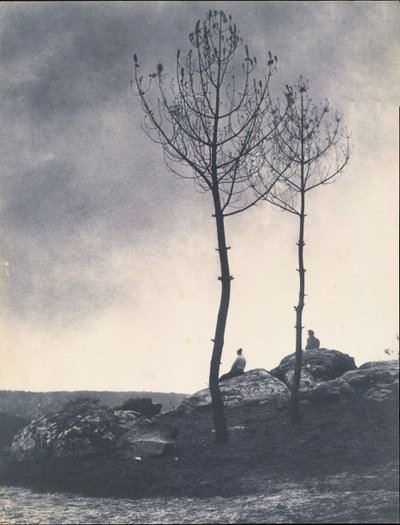 Vicino alla caverna, terreno bruciato, primi anni 1860 da Eugène Cuvelier
