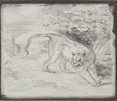 Una tigre intrappolata da Eugène Delacroix