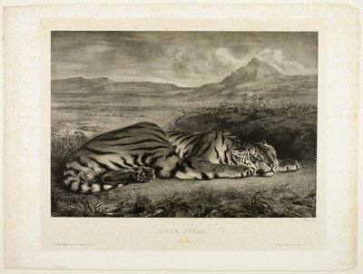 Tigre del Bengala da Eugène Delacroix