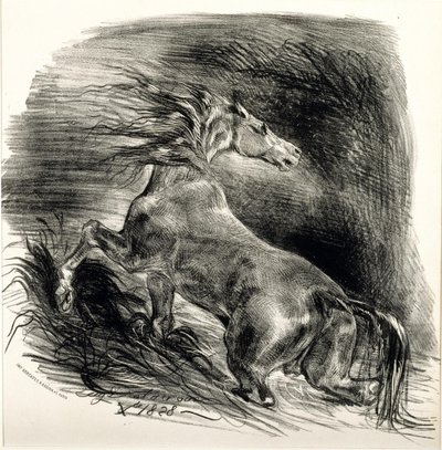 Cavallo selvaggio da Ferdinand Victor Eugene Delacroix