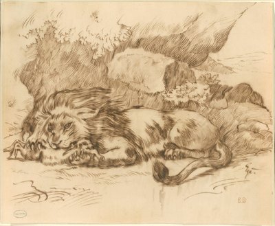Leone che divora un coniglio da Eugène Delacroix