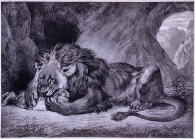 Leone dell