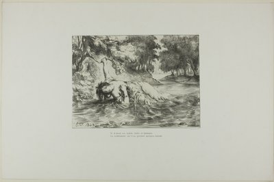 La morte di Ofelia, tavola 13 dell