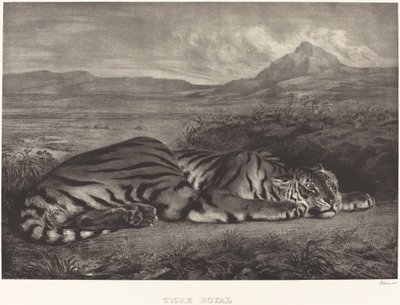 Tigre reale da Eugène Delacroix