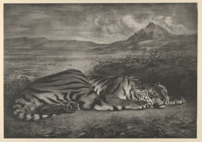 Tigre Reale, 1829 da Eugène Delacroix