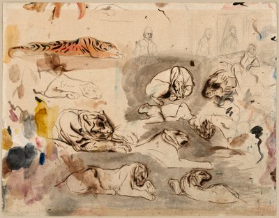 Schizzi di tigri e uomini in costume del XVI secolo da Eugène Delacroix