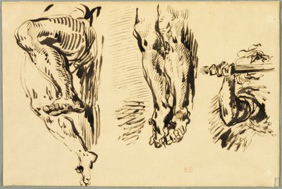 Studio di Braccia e Gambe di Cristo Crocifisso da Eugène Delacroix