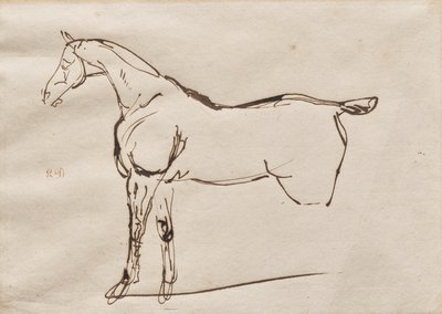 Studio di un cavallo da Eugène Delacroix