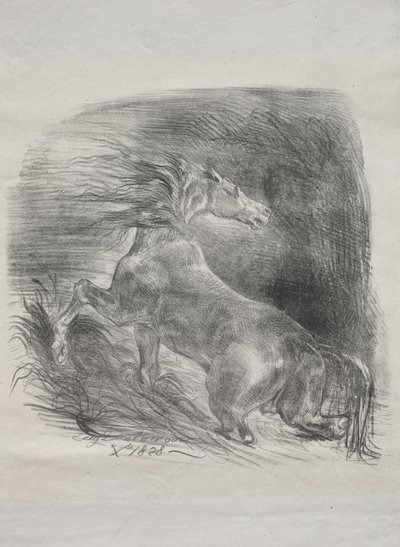 Il cavallo selvaggio, o cavallo spaventato che lascia l