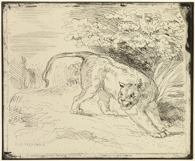 La tigre pronta per la primavera da Eugène Delacroix