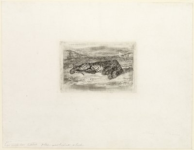 Tigre che riposa nel deserto da Eugène Delacroix