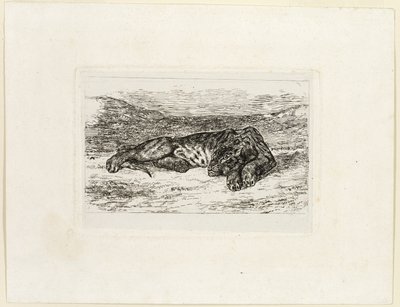 Tigre che riposa nel deserto da Eugène Delacroix