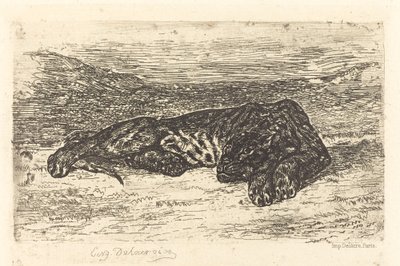 Tigre che dorme nel deserto, 1846 da Eugène Delacroix