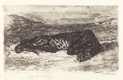 Tigre che Dorme nel Deserto, c. 1830 da Eugène Delacroix