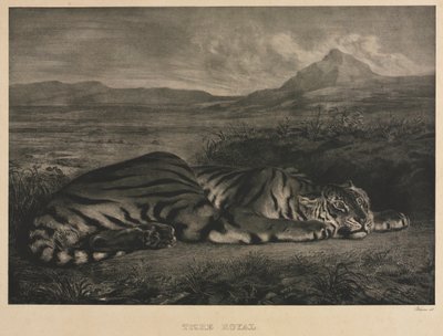 Tigre reale da Eugène Delacroix