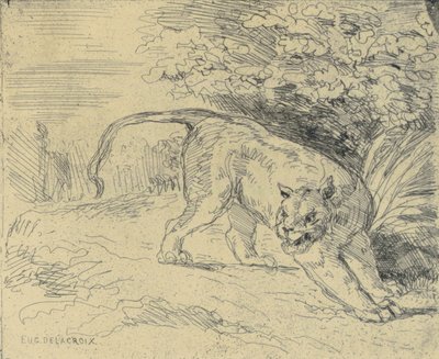 Tigre in arrivo da Eugène Delacroix
