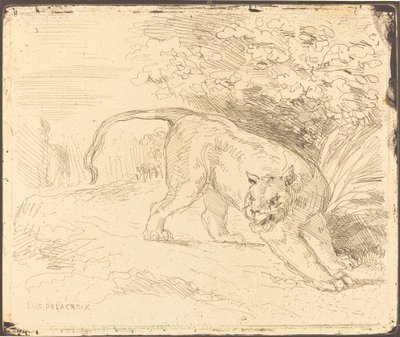 Tigre in agguato da Eugène Delacroix