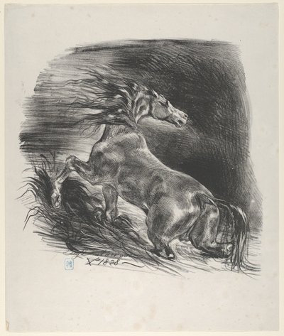 Cavallo selvaggio, 1828 da Eugène Delacroix