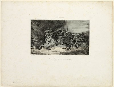 Giovane tigre che gioca con la madre da Eugène Delacroix