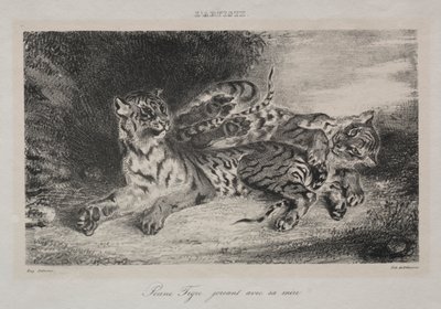 Giovane tigre che gioca con la madre da Eugène Delacroix