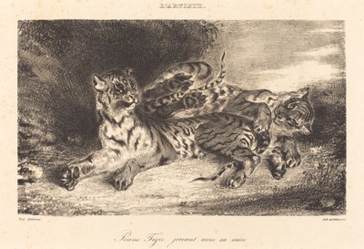 Giovane Tigre che Gioca con la Madre da Eugène Delacroix