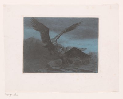 Due aquile in una montagna da Eugène Van Hove