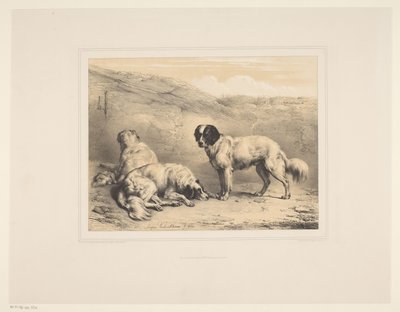 Tre cani da Eugène Verboeckhoven